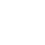 The Play Project logo